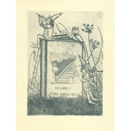 V - Ex-Libris - Fritz Waldstein by Arhtur Paunzen - 19.017