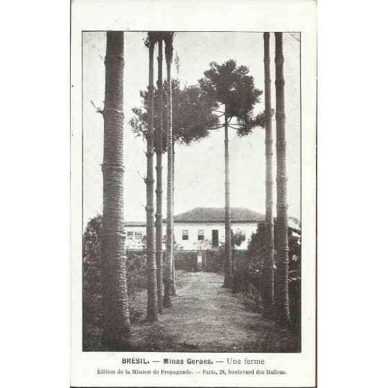 Minas Geraes - Une ferme - 19.468