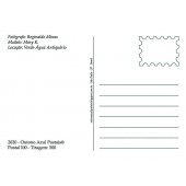 Postal 100 - Nu artístico feminino - 19.549