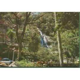 Rio de Janeiro - Cascatinha - Floresta da Tijuca - 19.814