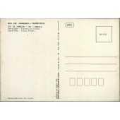 Rio de Janeiro - Cascatinha - Floresta da Tijuca - 19.814