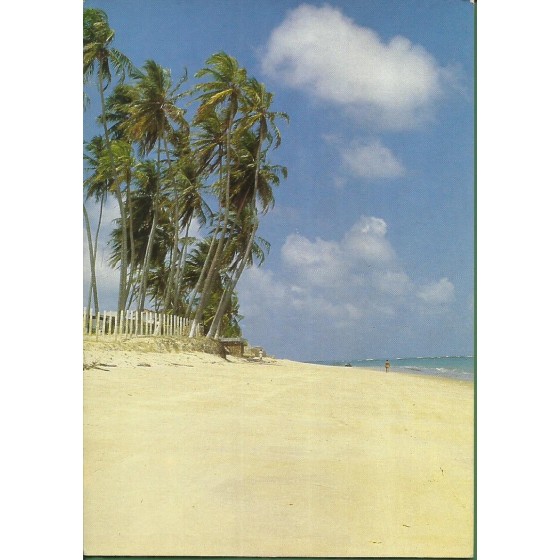 Natal - RN - Praia de Jacumã - 19.817