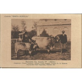 Cabaña Santa Aurelia - Baronesa Sta. Aurelia - 19.871