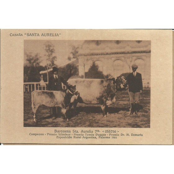 Cabaña Santa Aurelia - Baronesa Sta. Aurelia - 19.871