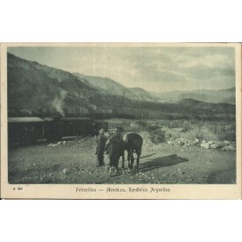 Potrerillos - Mendoza - 19.873