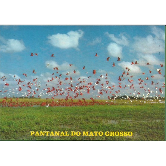 Pantanal Matogrossense - MT - 19.984