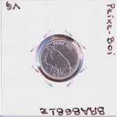 V - Brasil - 100 Cruzeiros 1993 - BRA8681z