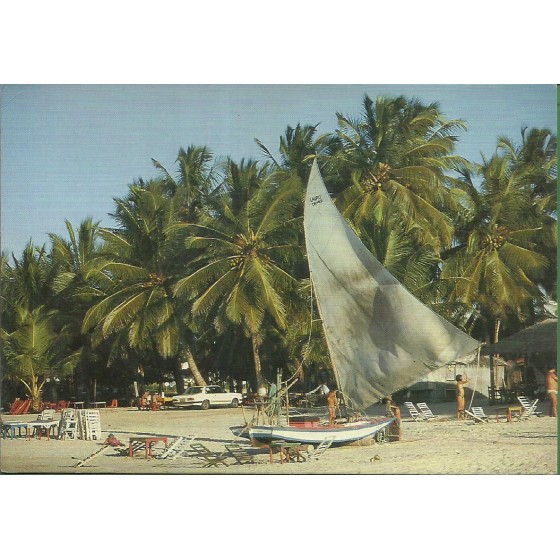 Caucaia - Jangada e coqueiros da praia do Cumbuco - CE4831z