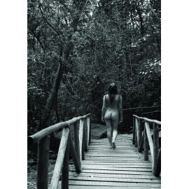 Postal 029 - Nu artístico feminino