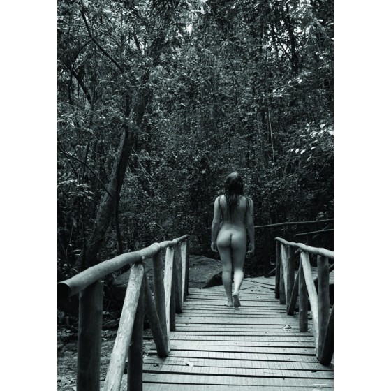 Postal 029 - Nu artístico feminino